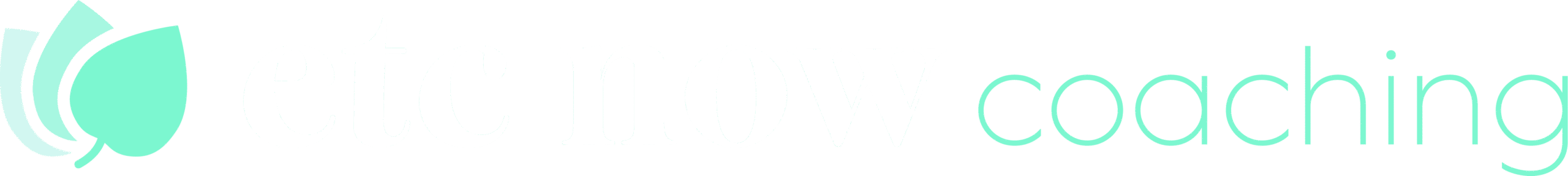 etc now coaching logo
